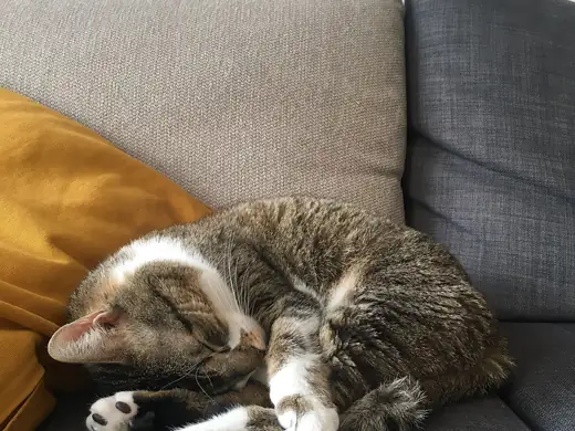 Sakin bir köşe